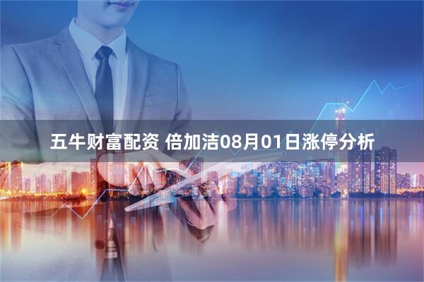 五牛财富配资 倍加洁08月01日涨停分析