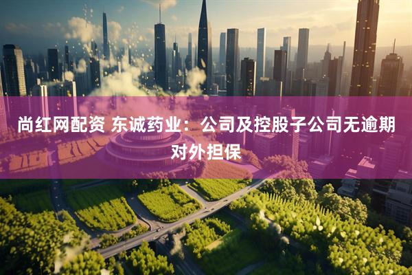 尚红网配资 东诚药业:公司及控股子公司无逾期对外担保